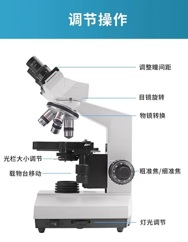 กล้องจุลทรรศน์แบบสองตาสำหรับห้ - Medical Lab Study บทวิจารณ์และราคา