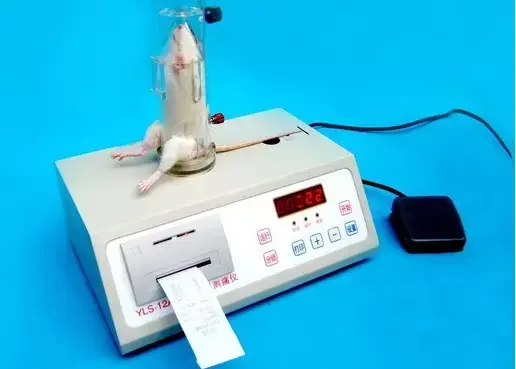 เครื่องมือวิทยาศาสตร์ แผ่นทำคว - Medical Lab Study บทวิจารณ์และราคา