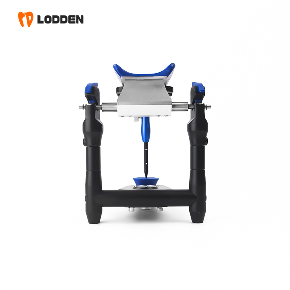 อุปกรณ์จำลองฟัน LODDEN BN Valu - Medical Lab Values บทวิจารณ์และราคา