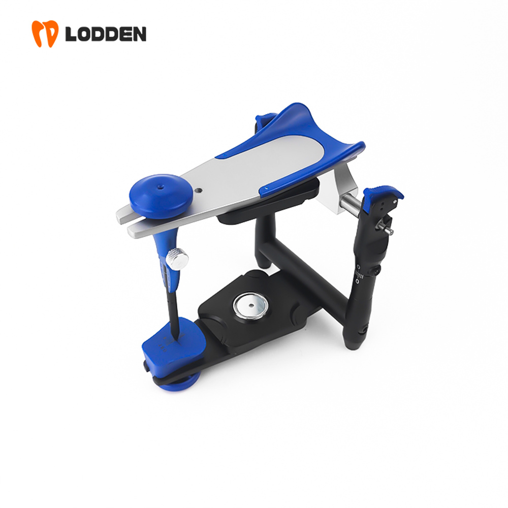 อุปกรณ์จำลองฟัน LODDEN BN Valu - Medical Lab Values บทวิจารณ์และราคา