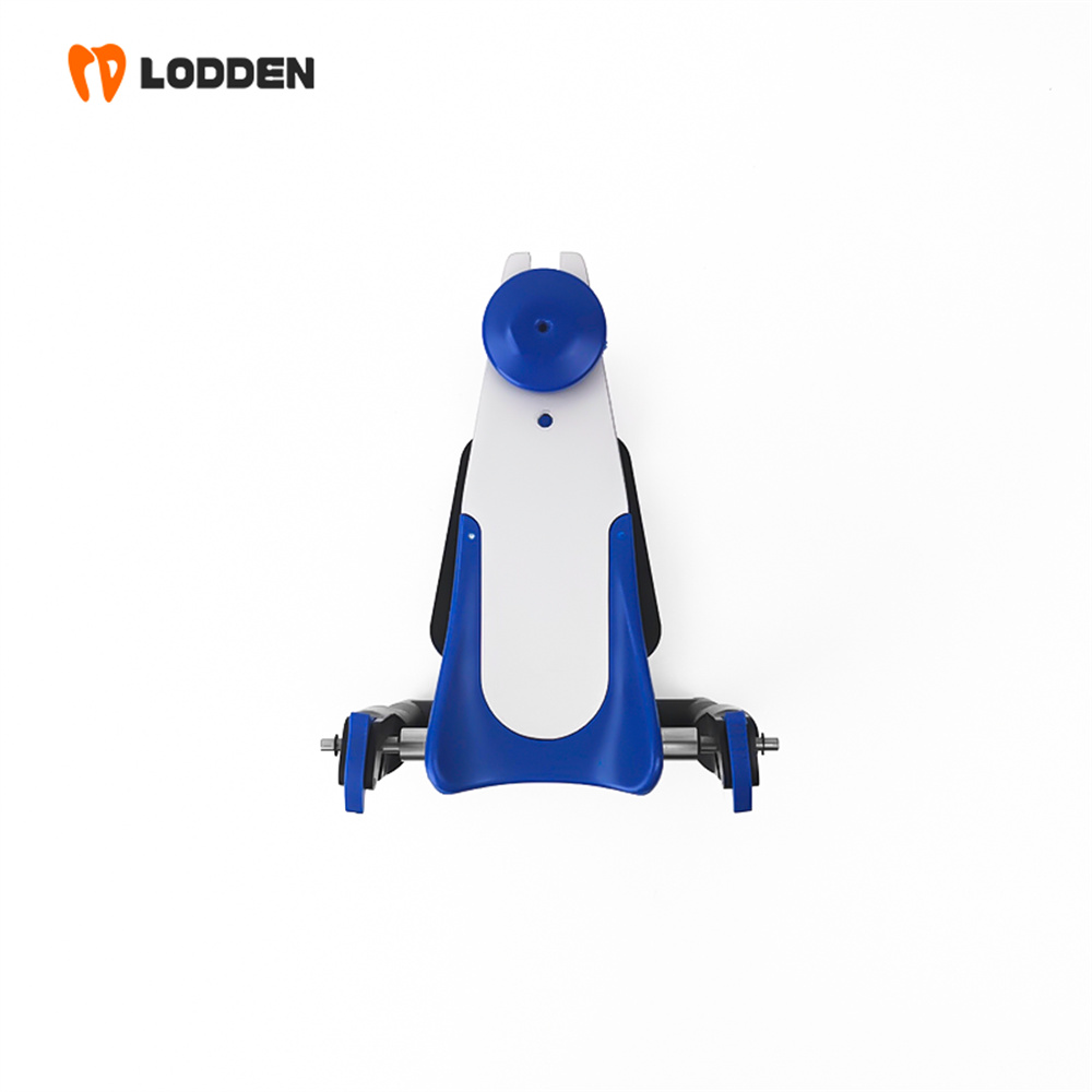 อุปกรณ์จำลองฟัน LODDEN BN Valu - Medical Lab Values บทวิจารณ์และราคา